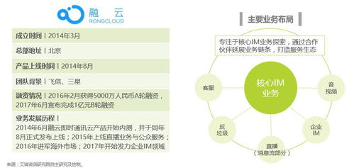 2017中國云通信行業(yè)發(fā)展白皮書 定制化企業(yè)im 空間巨大